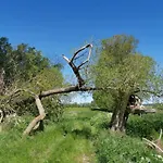 Schoene Geraeumige Am Park