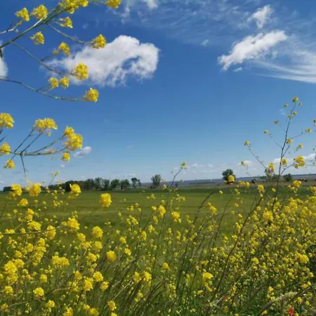 Apartmán Schoene Geraeumige Am Park