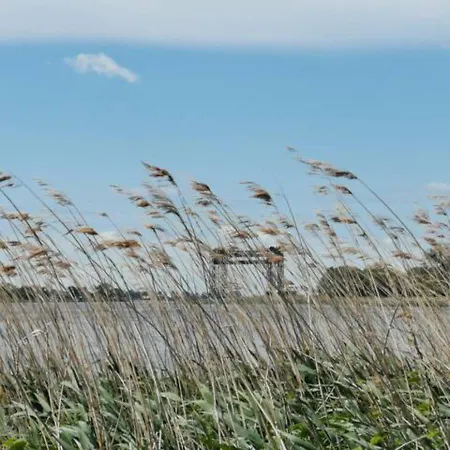Apartmán Schoene Geraeumige Am Park