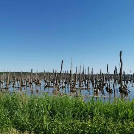 アパート Schoene Geraeumige Am Park *