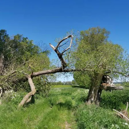 Schoene Geraeumige Am Park