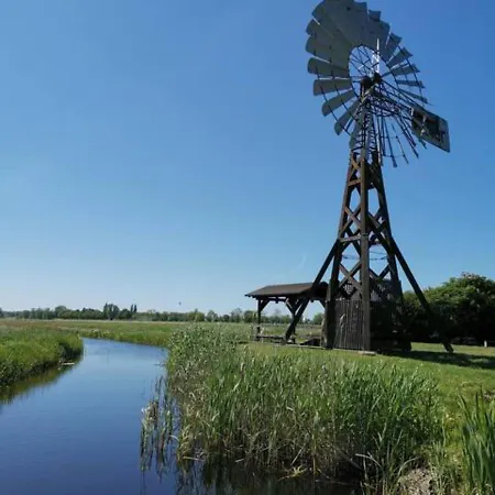 Schoene Geraeumige Am Park * ゼーバート・ヘリングスドルフ