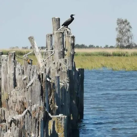 Schoene Geraeumige Am Park *